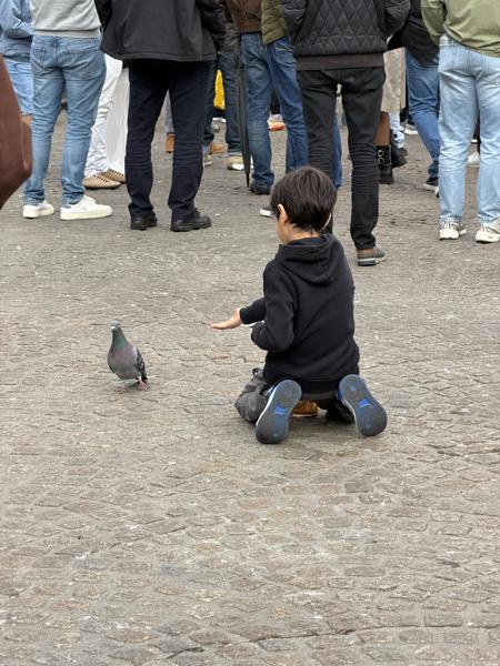 A young child kneels on the cobblestones, extending a hand towards a pigeon in a bustling public square at Dam, Centrum, Amsterdam